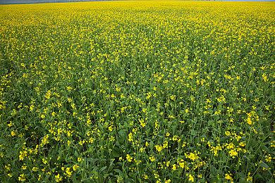 叙事科幻生存恐怖游戏《Epsilon Eridana》上架Steam 支持中文