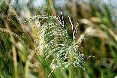 手绘风解谜视觉小说游戏《窗台上的蝴蝶》现已正式发售